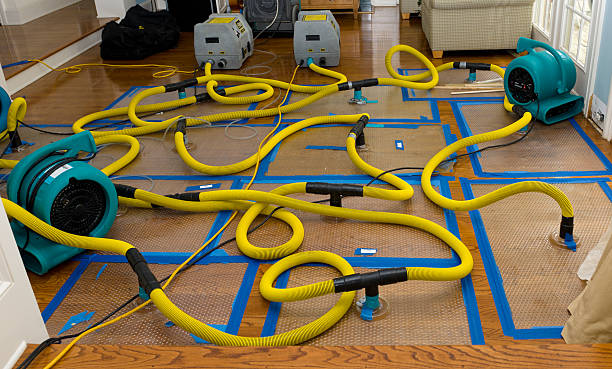 Professional Basement Flood Cleanup technician working in Philadelphia, TN